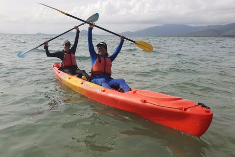 Kayak Turtle Tour From Palm Cove - Accommodation BNB 41