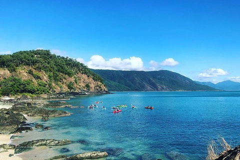 Kayak Turtle Tour From Palm Cove - Accommodation BNB 39