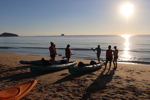Kayak Turtle Tour From Palm Cove - Accommodation BNB 5