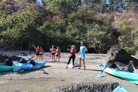 Kayak Turtle Tour From Palm Cove - Accommodation BNB 46