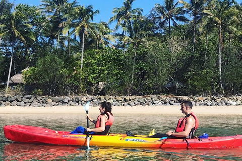 Kayak Turtle Tour From Palm Cove - Accommodation BNB 22