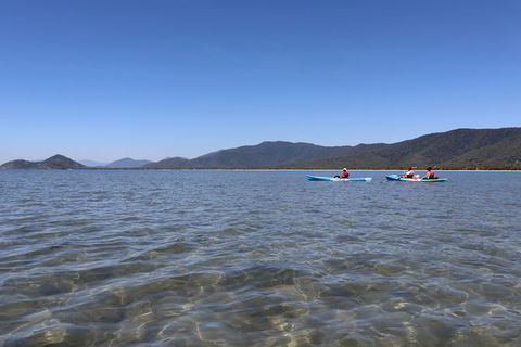 Kayak Turtle Tour From Palm Cove - Accommodation BNB 43