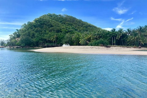 Kayak Turtle Tour From Palm Cove - Accommodation BNB 9