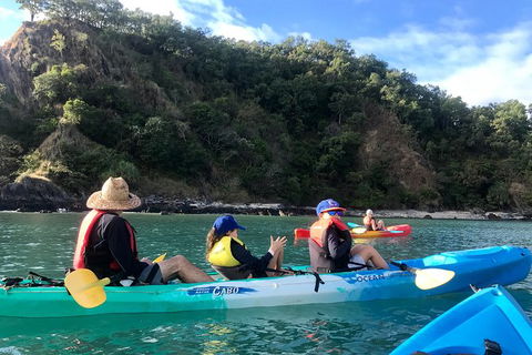 Kayak Turtle Tour From Palm Cove - Accommodation BNB 13