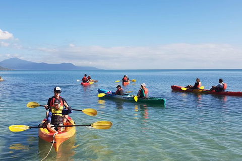 Kayak Turtle Tour From Palm Cove - Accommodation BNB 37