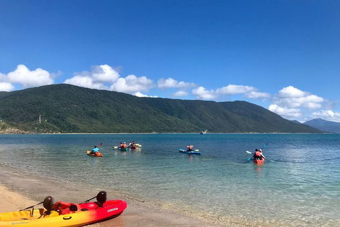 Kayak Turtle Tour From Palm Cove - Accommodation BNB 1