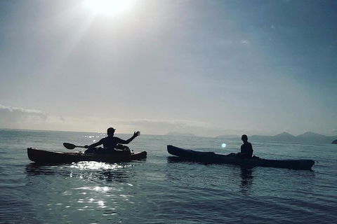 Kayak Turtle Tour From Palm Cove - Accommodation BNB 7