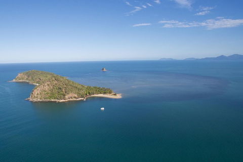 Kayak Turtle Tour From Palm Cove - Accommodation BNB 47