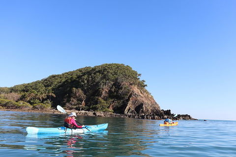 Kayak Turtle Tour From Palm Cove - Accommodation BNB 30