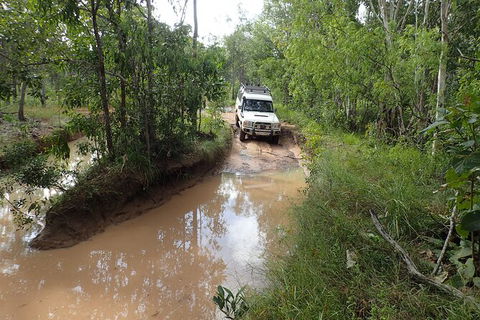 Cairns 4WD Waterfall And Rainforest Tour Including Kuranda Scenic Railway - Accommodation BNB 3