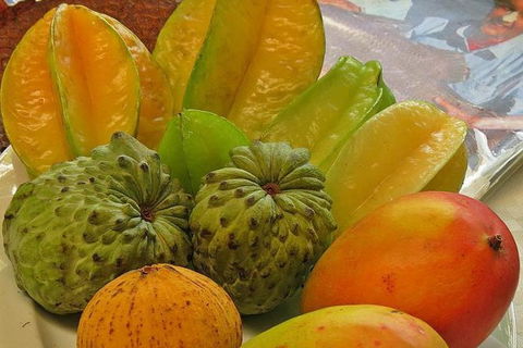 Cairns 4WD Waterfall And Rainforest Tour Including Kuranda Scenic Railway - Accommodation BNB 2