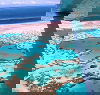 8-Day Cairns Tour Great Barrier Reef Kuranda Daintree Rainforest - Accommodation BNB