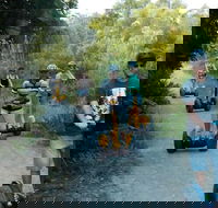 Gold Coast Segway Safari Adventure 60-minutes - Accommodation BNB