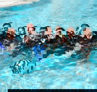 3-Day Open Water Certification Course on the Gold Coast - Accommodation BNB