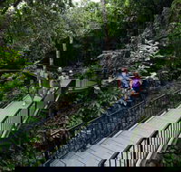 4-Day Cairns with Great Barrier Reef and Daintree Rainforest - Accommodation BNB