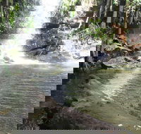 The Gold ExperiencePrivate Day Tour In Lamington National Park or Mt Tambourine - Accommodation BNB