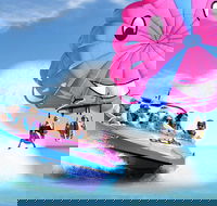 Gold Coast Tandem Parasail  V8 Jetboat Combo - 1 Location - Accommodation BNB