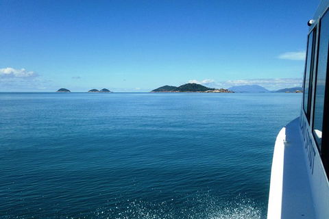 Fozzy\'s 3 Hour, 3 Island Tour - Accommodation BNB 7