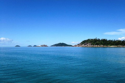 Fozzy\'s 3 Hour, 3 Island Tour - Accommodation BNB 2