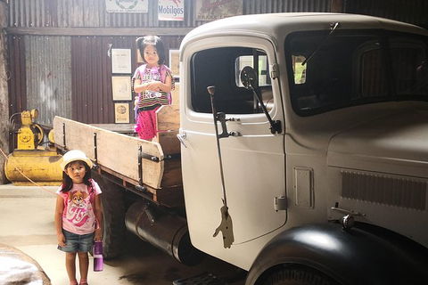 Historic Village Herberton, Kuranda Village And The Skyrail Rainforest Cableway - Accommodation BNB 5