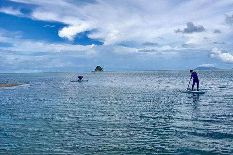 Exclusive Double Island Boat Tours From Palm Cove - Accommodation BNB 5