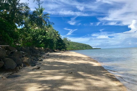 Exclusive Double Island Boat Tours From Palm Cove - Accommodation BNB 4