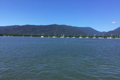Cairns City Tour - Accommodation BNB 9