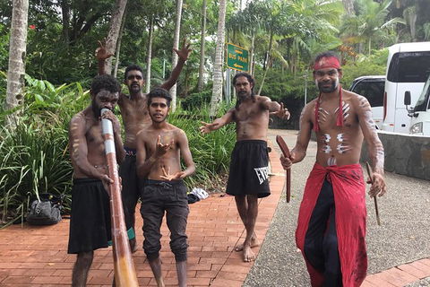 Cairns City Tour - Accommodation BNB 2