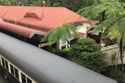 Cairns City Tour - Accommodation BNB 5