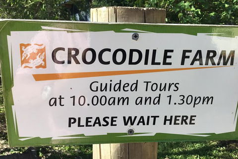 Cairns City Tour - Accommodation BNB 3