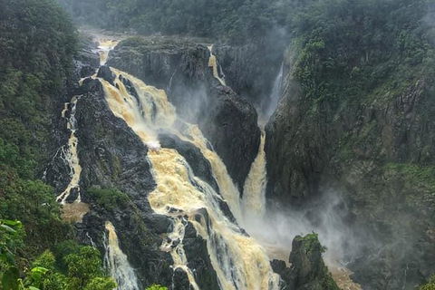 Cairns City Tour - Accommodation BNB 8