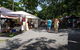 Port Douglas Sunday Markets Day Tour - thumb 1
