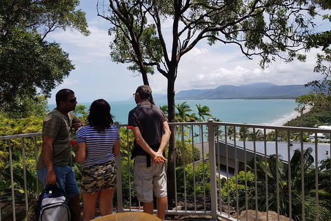 Port Douglas Sunday Markets Day Tour - Accommodation BNB 2