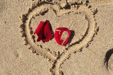 Elope In Paradise - Weddings At Mission Beach - Accommodation BNB 3