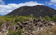 3 Day Cape Tribulation & Cooktown Tour From Cairns Or Port Douglas - thumb 10
