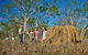 3 Day Cape Tribulation & Cooktown Tour From Cairns Or Port Douglas - thumb 14