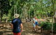 3 Day Cape Tribulation & Cooktown Tour From Cairns Or Port Douglas - thumb 13