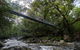 3 Day Cape Tribulation & Cooktown Tour From Cairns Or Port Douglas - thumb 3