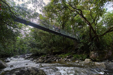 3 Day Cape Tribulation & Cooktown Tour From Cairns Or Port Douglas - Accommodation BNB 3