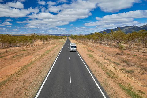 3 Day Cape Tribulation & Cooktown Tour From Cairns Or Port Douglas - Accommodation BNB 4