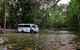 3 Day Cape Tribulation & Cooktown Tour From Cairns Or Port Douglas - thumb 0
