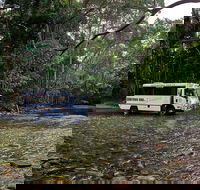 3 Day Cape Tribulation  Cooktown Tour from Cairns or Port Douglas - Accommodation BNB