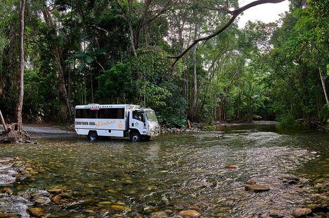 3 Day Cape Tribulation & Cooktown Tour From Cairns Or Port Douglas - Accommodation BNB 0