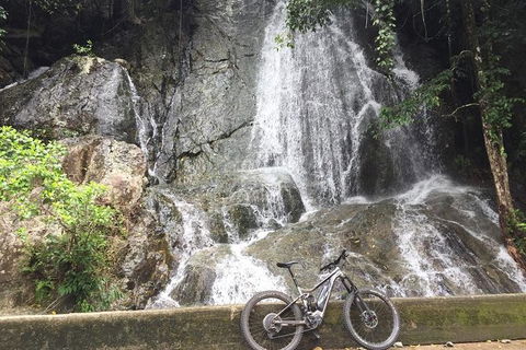 Electric Mountain Bike Tropical Tours - Accommodation BNB 5
