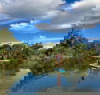 Kuranda Rainforest Paddleboarding Adventure Tour - Accommodation BNB