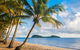 Luxury Van, Private Transfer, Cairns Airport - Palm Cove. - thumb 1