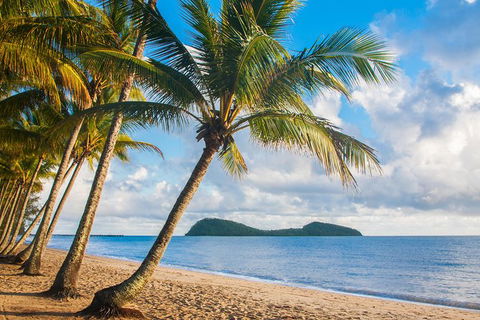 Luxury Van, Private Transfer, Cairns Airport - Palm Cove. - Accommodation BNB 1