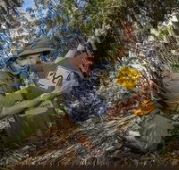 4-Day Australian Outback Tour from the Gold Coast to Sydney - Accommodation BNB