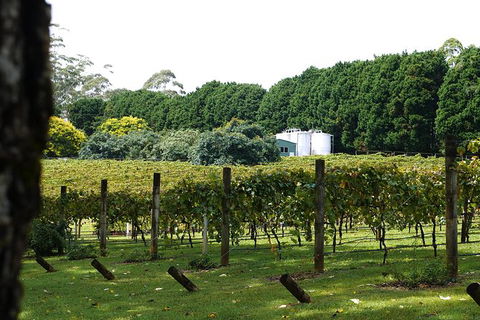 Birthday Tour - Accommodation BNB 6