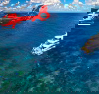 Full Day Reef Cruise Including 10 Minute Heli Scenic Flight Get High Package - Accommodation BNB